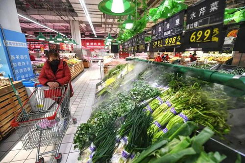 苗木價(jià)格迎來(lái)下行拐點(diǎn)，市場(chǎng)機(jī)遇與挑戰(zhàn)并存