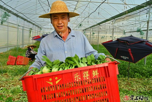 小特色撬動(dòng)大產(chǎn)業(yè) 梅江區(qū)苗木產(chǎn)業(yè)的市場(chǎng)化、產(chǎn)業(yè)化、品牌化路徑