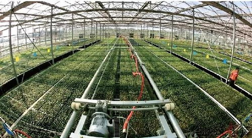 AI引領(lǐng)農(nóng)業(yè)變革 未來(lái)十年我國(guó)將停止無(wú)公害農(nóng)產(chǎn)品認(rèn)證