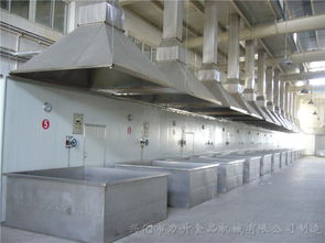 泉州高性價(jià)比噴碼機(jī)配套設(shè)備廠家直銷，助力蔬菜行業(yè)高效標(biāo)識(shí)