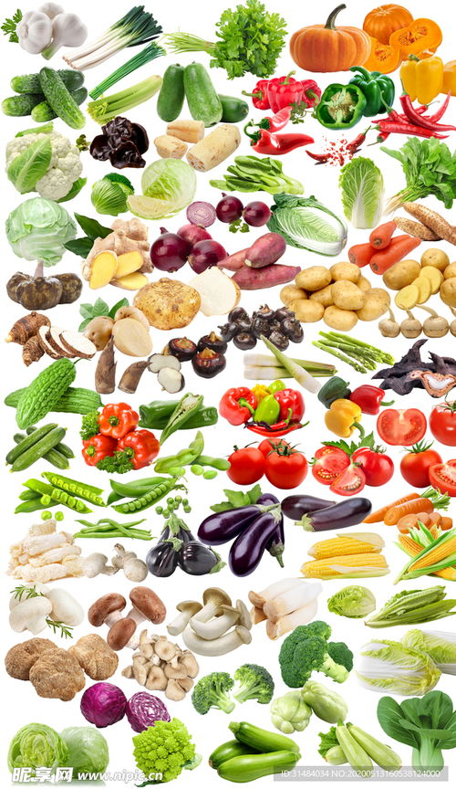 高清多款蔬菜免摳圖片設(shè)計(jì)圖 賦能創(chuàng)意與效率的視覺素材