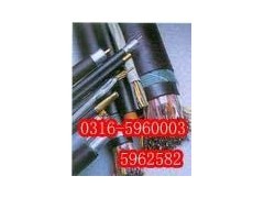 特種電纜應用指南 從硅橡膠到氟塑料，解鎖工業核心連接方案